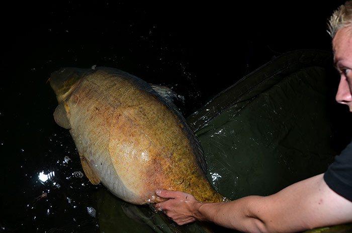 Rick-van-den-Acker-KWO-terugzetten