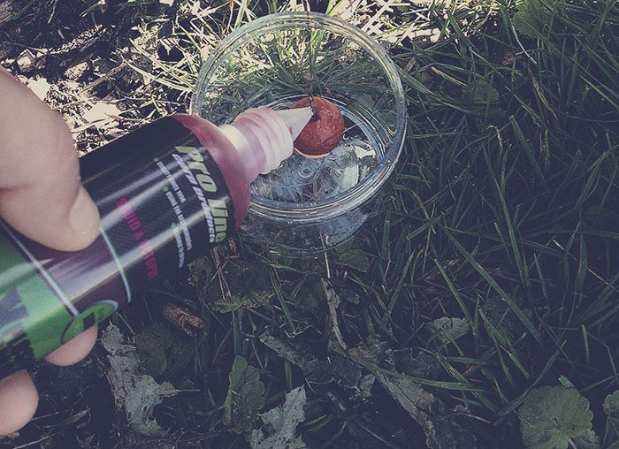 Eén van de hulpmiddelen die het winnende team in zette om de karpers te verleiden.