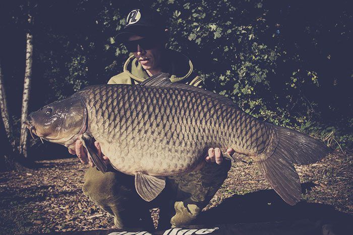 Ook kwamen er gedurende de wedstrijd enkele schubs op de oever, waaronder deze buffel.