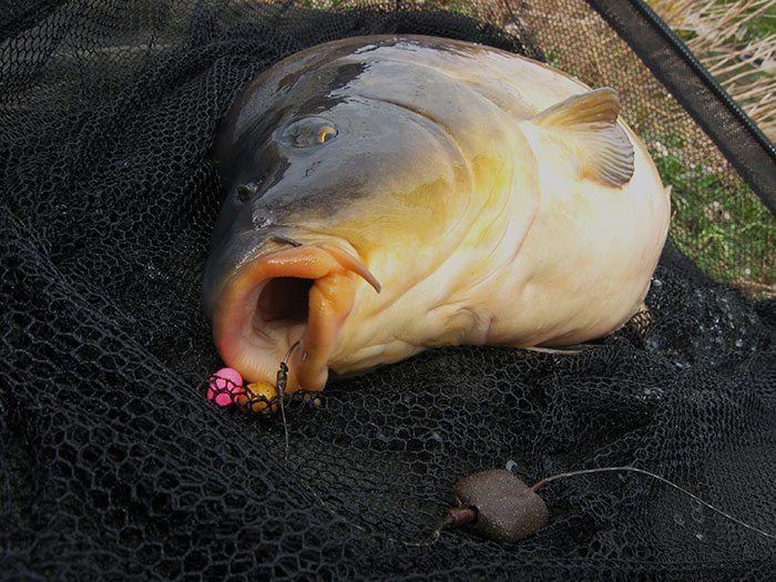 Als het materiaal en de presentatie in orde is kan resultaat niet uitblijven.