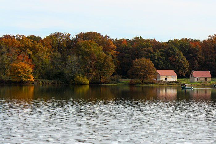 Domaine-de-Bouxier-the-carp-specialist-1