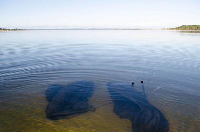 Joey-Kouwenhoven-karper-vissen-1