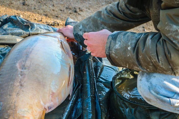 Jordy-op-t-hof-artikel-veiligheidsfouten (13)