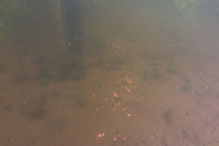 Martin-SB-Articles-Crushies-Boudewijn-Margadant-2