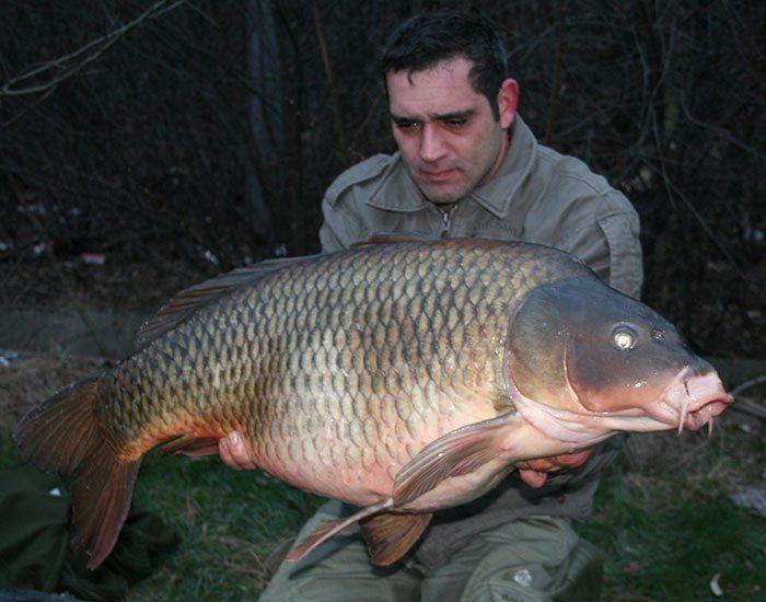 Nog een gedenkwaardige vangst, een ijskoude decemberkarper die ik ving op een simpele, ongesoakte boilie.