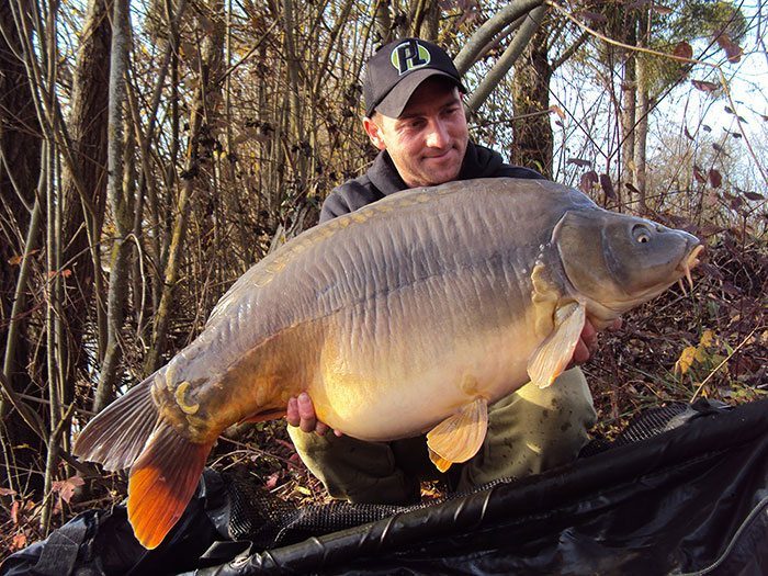 Meerdere Pro Line consultants wisten goede resultaten te boeken met de Eggs.
