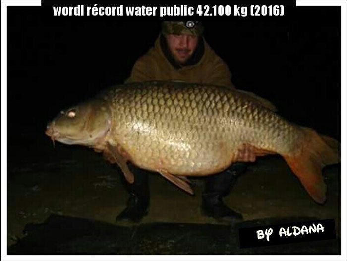 Een grote vis is het zeker. Maar 42 kg..?