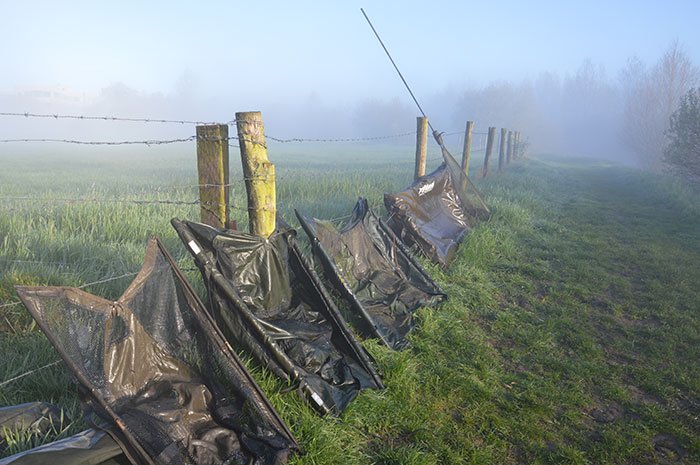 Hopelijk zal dit uitzicht jullie dit voorjaar meermaals ten deel vallen.