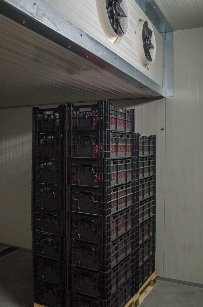 Dream-Baits-Boilies-Fabriek-12