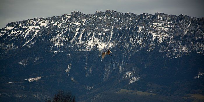 Het was een mooie reis, ondanks de tegenvallende resultaten.