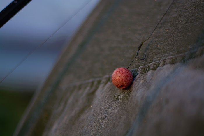 De Lychee boilies van Force1Baits vielen in de smaak.