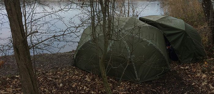 Tijdens de Belgische trip met Tom kregen we (op wat meerkoeten na) helaas geen actie.