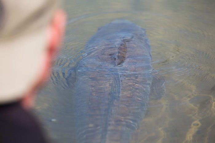 ben-van-boekel-groot-2