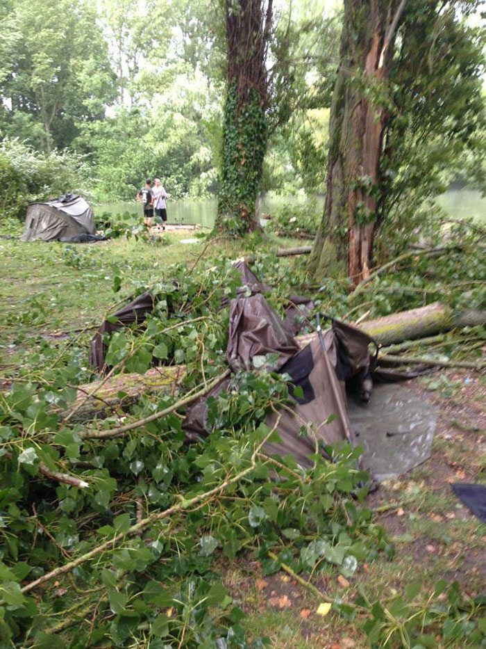 boom-omgevallen-karper-crash-1