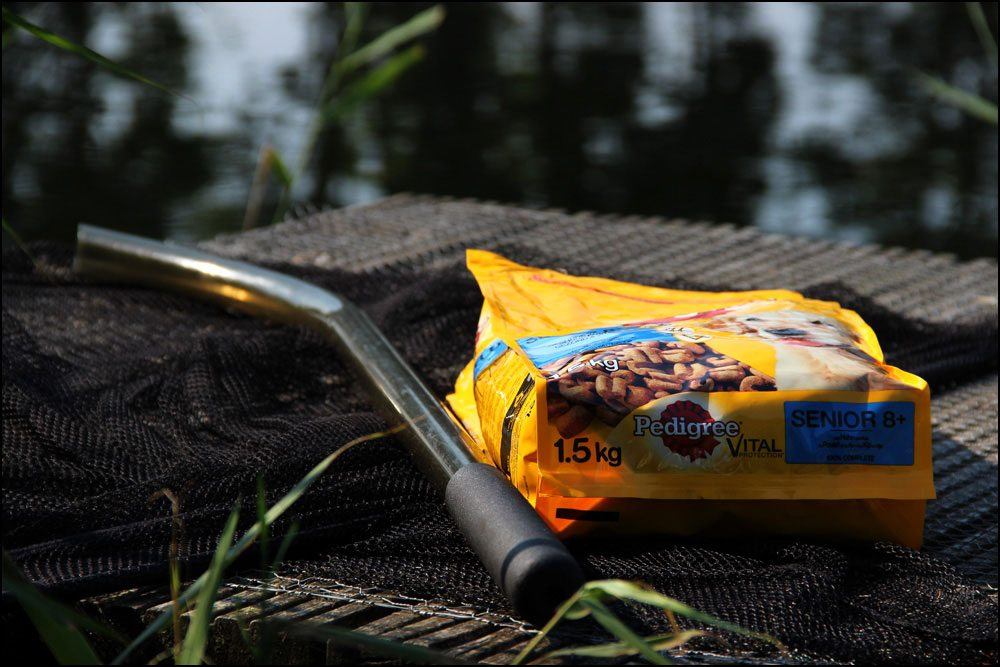 karpervissen-aan-de-oppervlakte-martijn-ommen-header