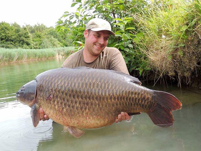 matthieu-everaert-karper-belgie