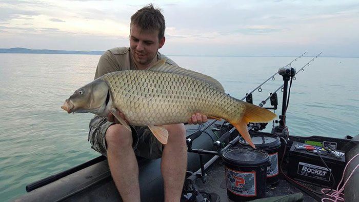 PIM-STARREVELD-HONGARIJE