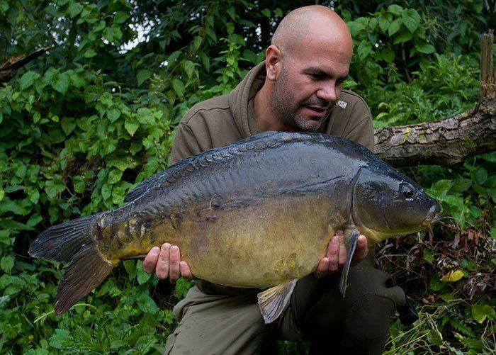 roy-van-swieten-karper-1