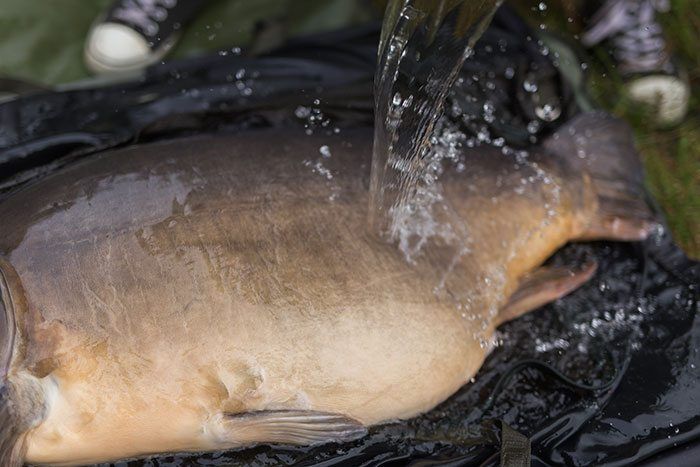 wesley-vroom-originals-martin-post-3