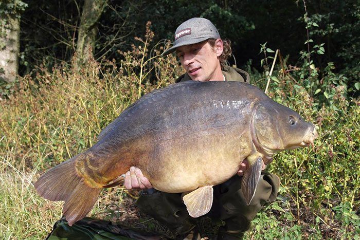 bas-de-vries-najaar-1