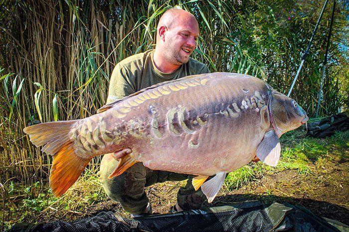 brian-boll-euro-aqua-53-pond-klein