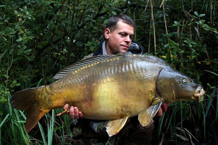 Klik op de afbeelding om naar het artikel te gaan.