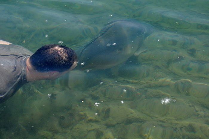 Een unieke foto van Robin Sterik.