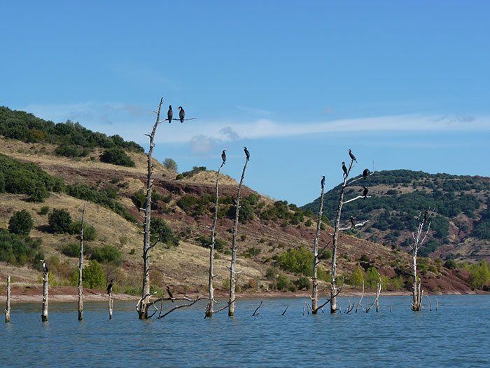Er huizen niet alleen karpers op Lac de Diable...