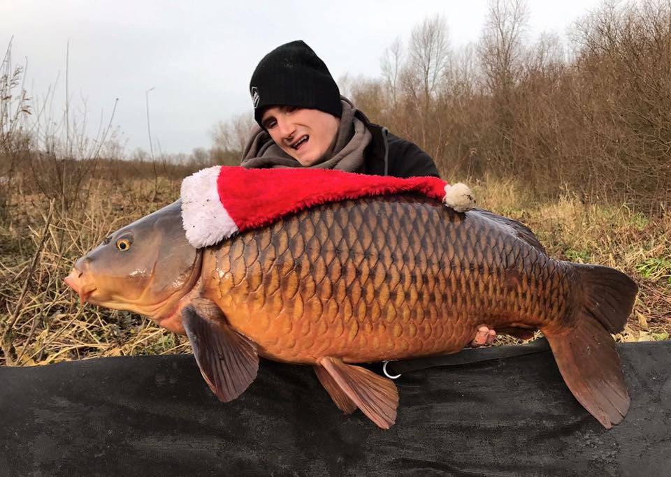 rudy-lemmens-kerst-karper
