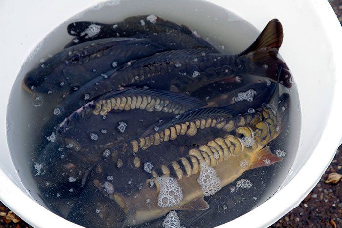 skp-midden-nederland-3