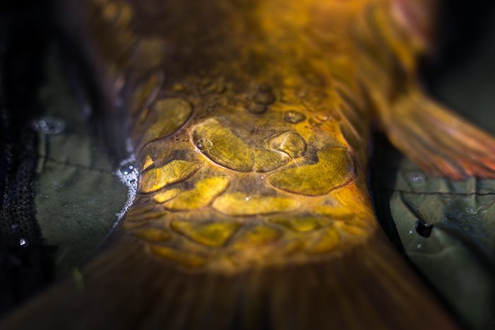 danny-de-kruyff-verleden-heden3