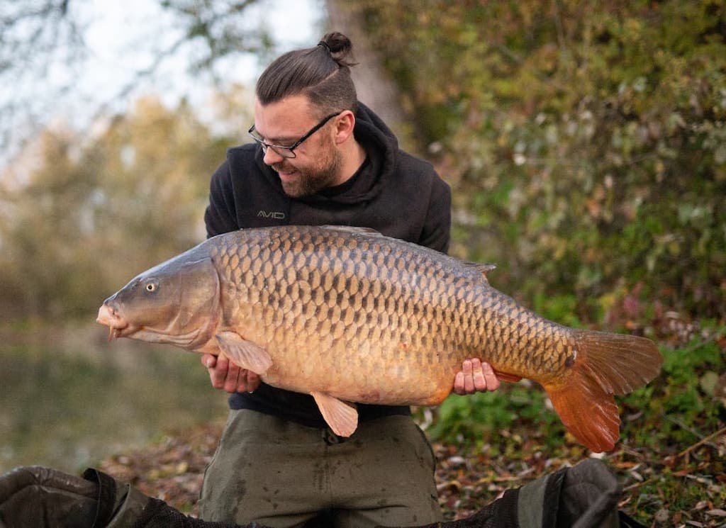Vangst schubkarper op originals