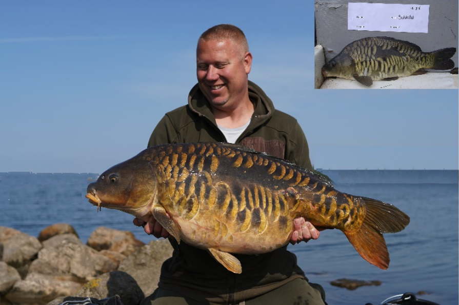 Een prachtige terugvangst voor Pascal Philippi.