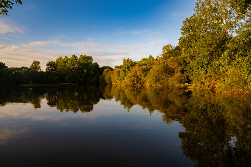 Alberts Lake