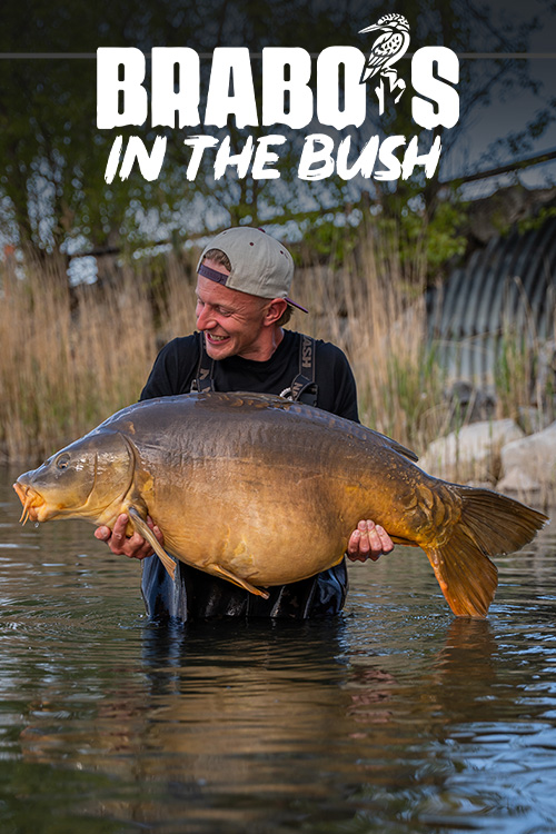 https://cdn04.kwo.nl/2026/08/Brabos-in-the-Bush-video-cover-1.jpg