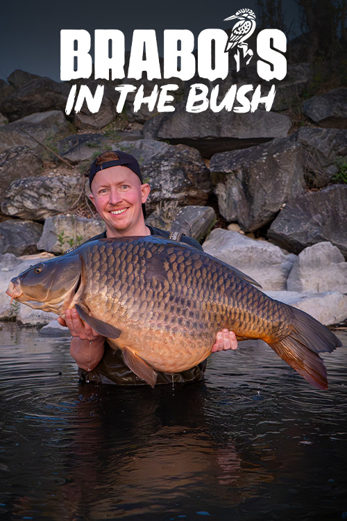 https://cdn04.kwo.nl/2026/08/Brabos-in-the-Bush-video-cover-2.jpg